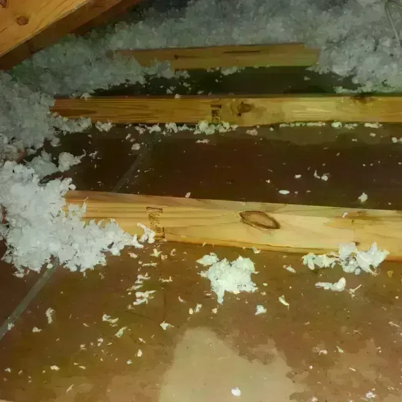 Attic Water Damage in Brimfield, OH